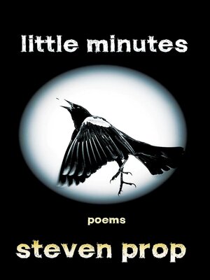 cover image of Little Minutes